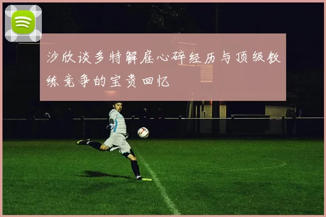 沙欣谈多特解雇心碎经历与顶级教练竞争的宝贵回忆